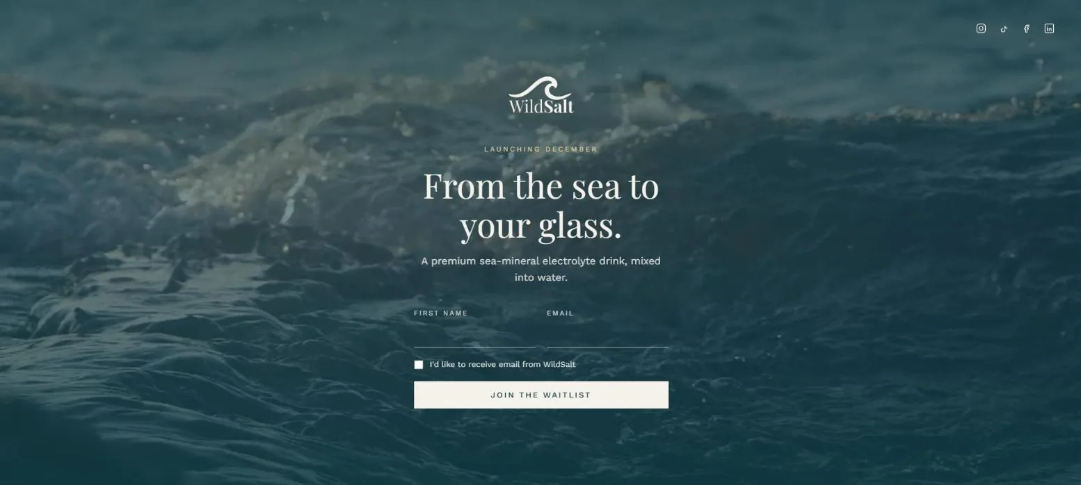 Wild Salt waitlist page